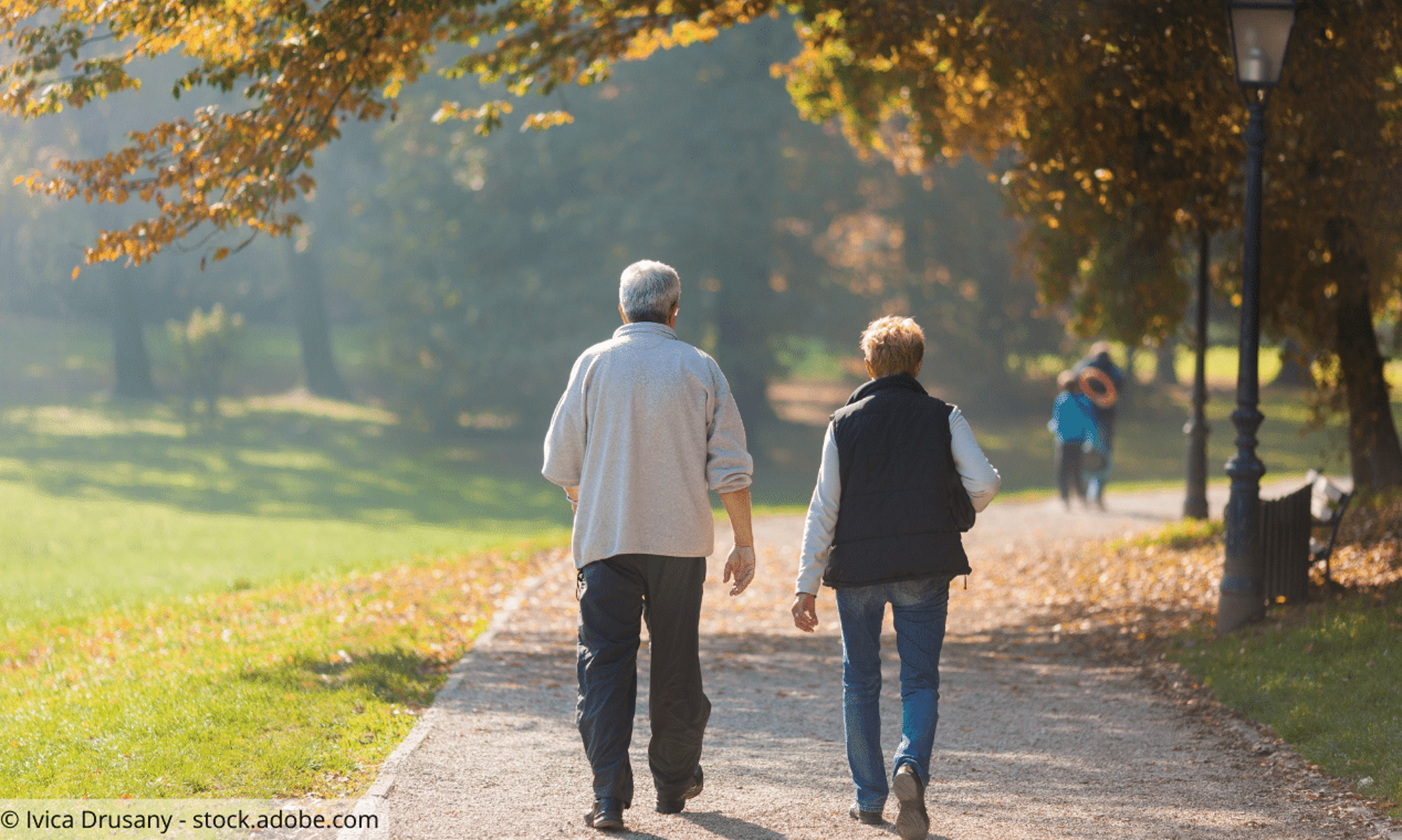 Älteres Ehepaar geht in einem Park spazieren