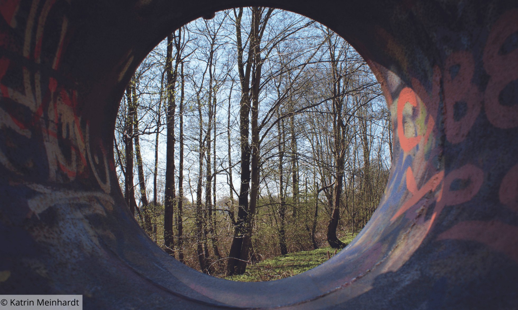 Blick durch einen Tunnel auf Bäume