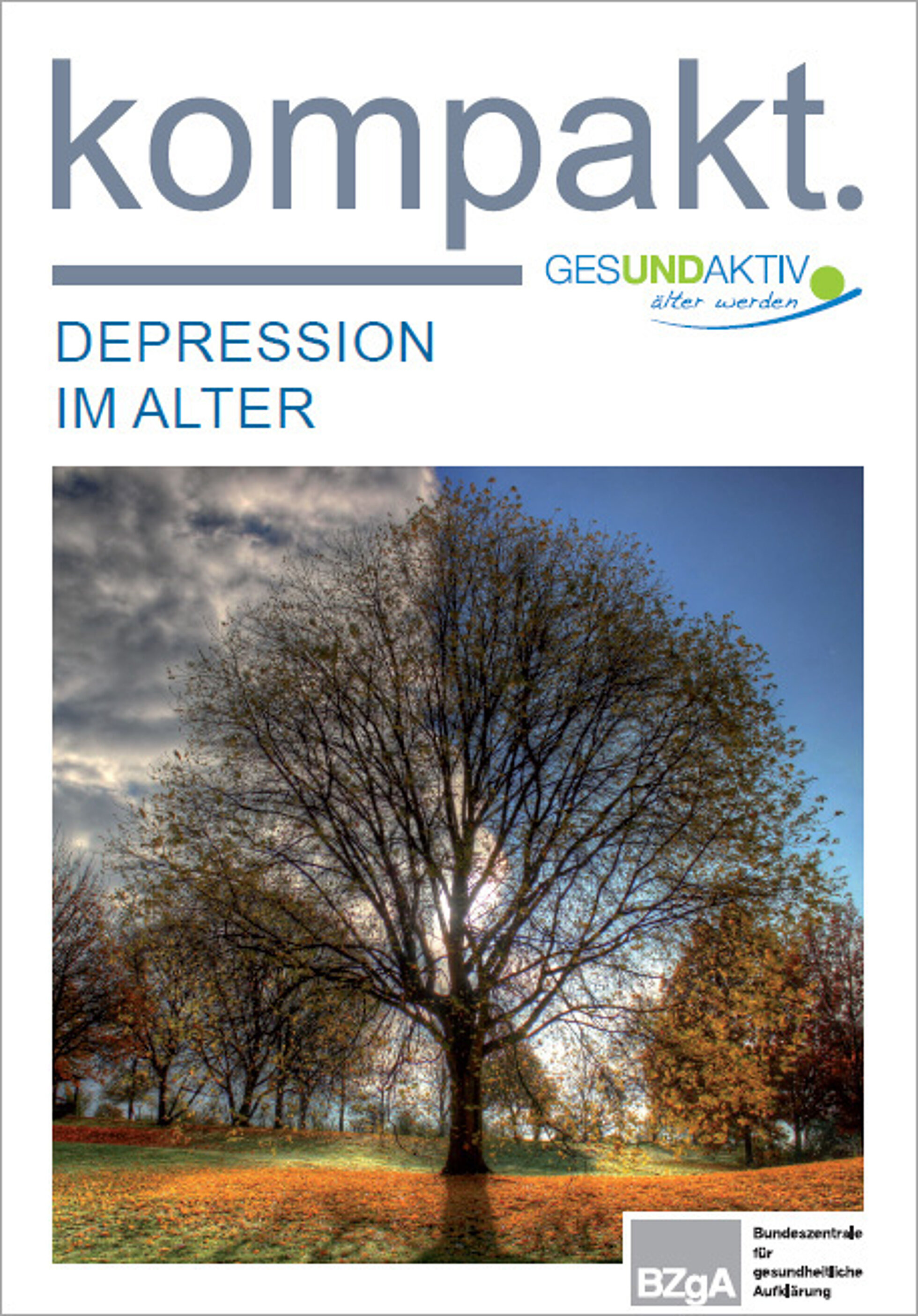 Cover Faltblatt Depression im Alter