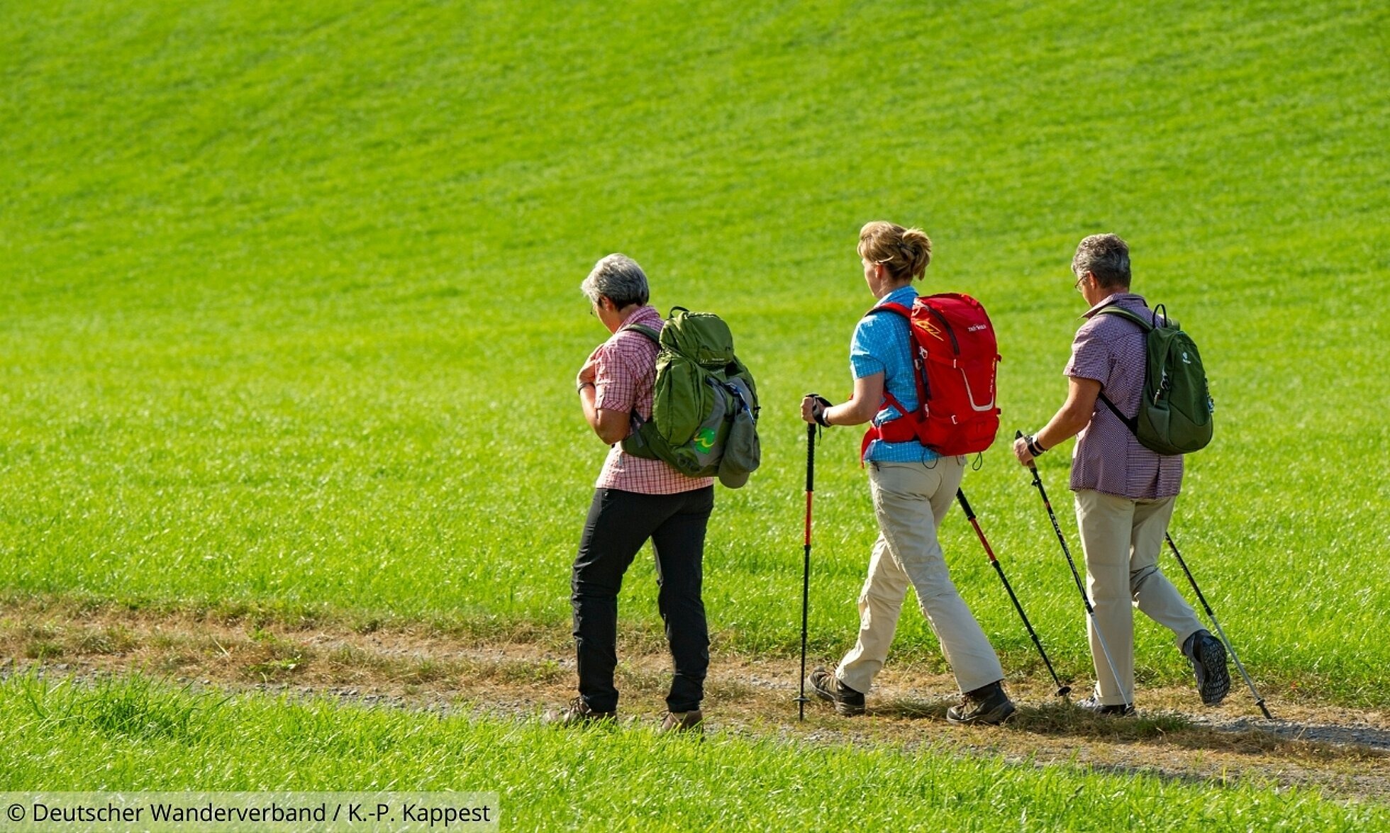 Drei Wanderer im Grünen