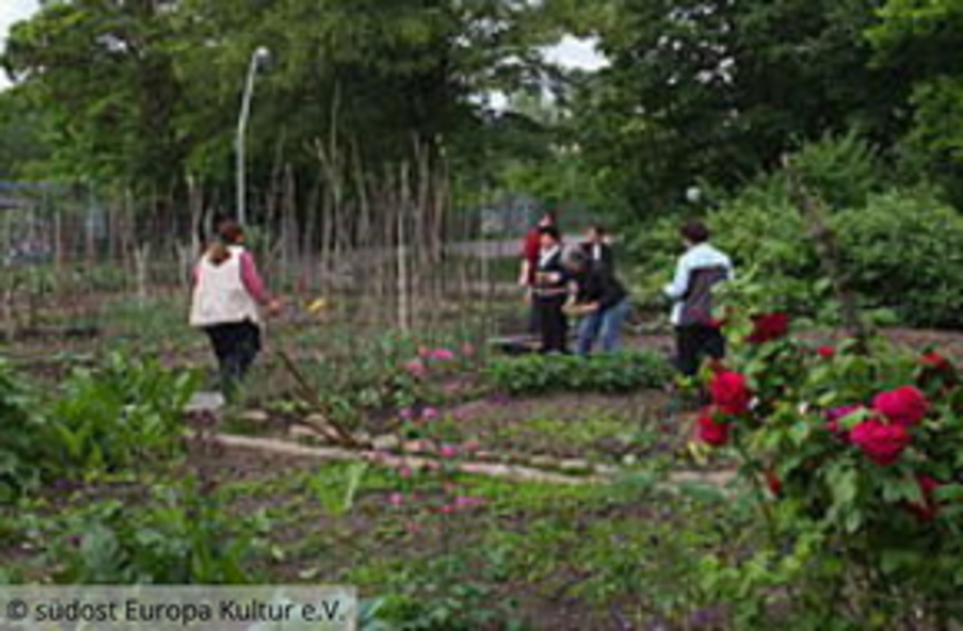 Menschen bei gemeinsamer Gartenarbeit