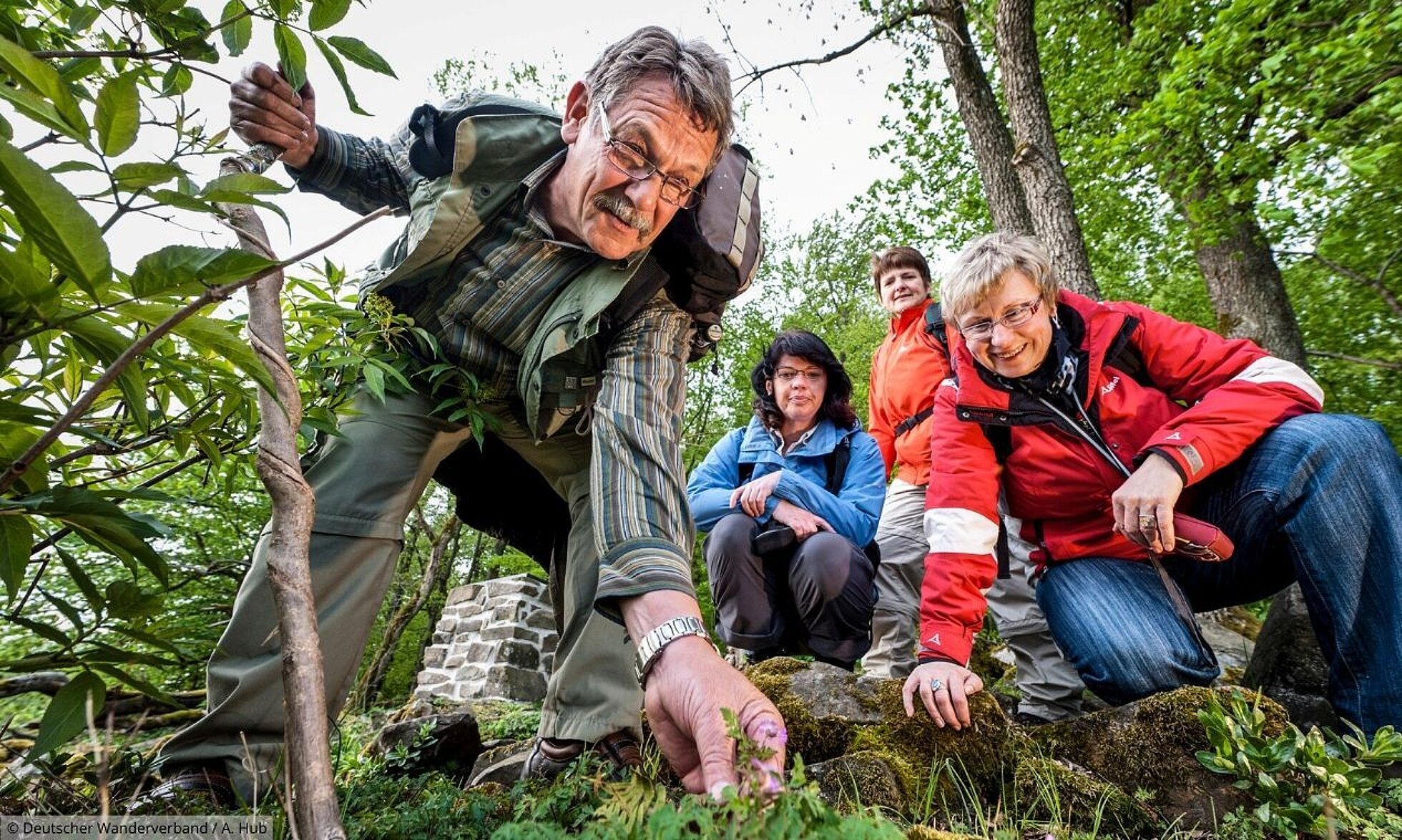 Gruppe von Wanderern betrachten Pflanzen im Wald