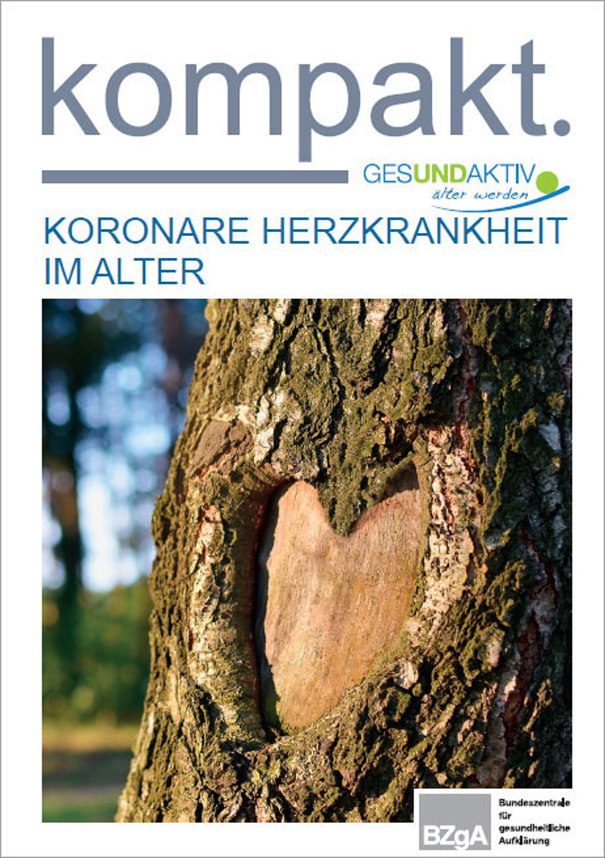 Cover Faltblatt Koronare Herzkrankheit