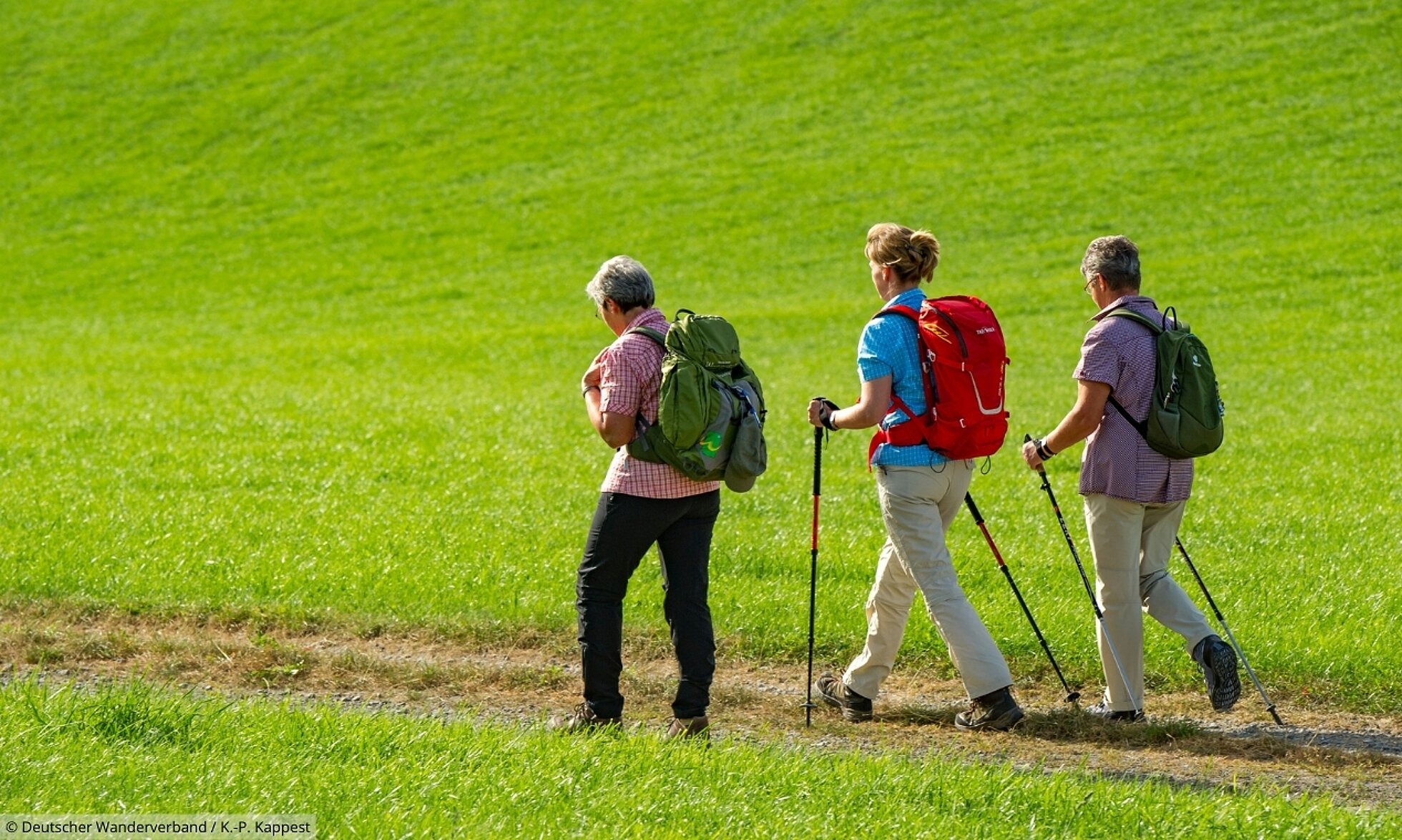 Drei Wanderer im Grünen