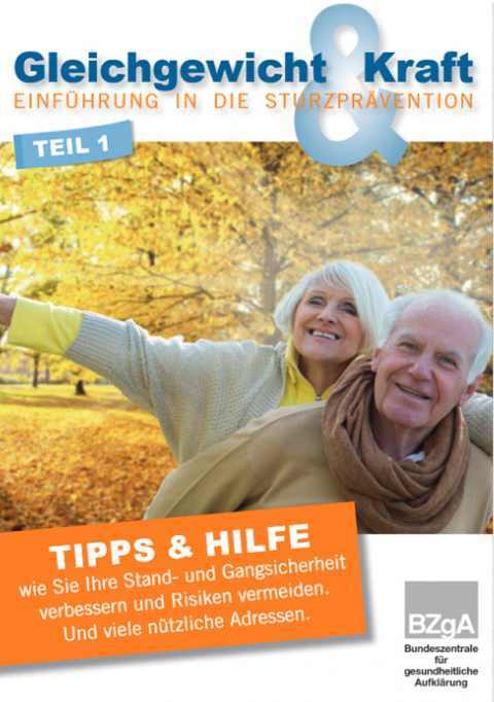 Cover Broschüre "Einführung in die Sturzprävention"