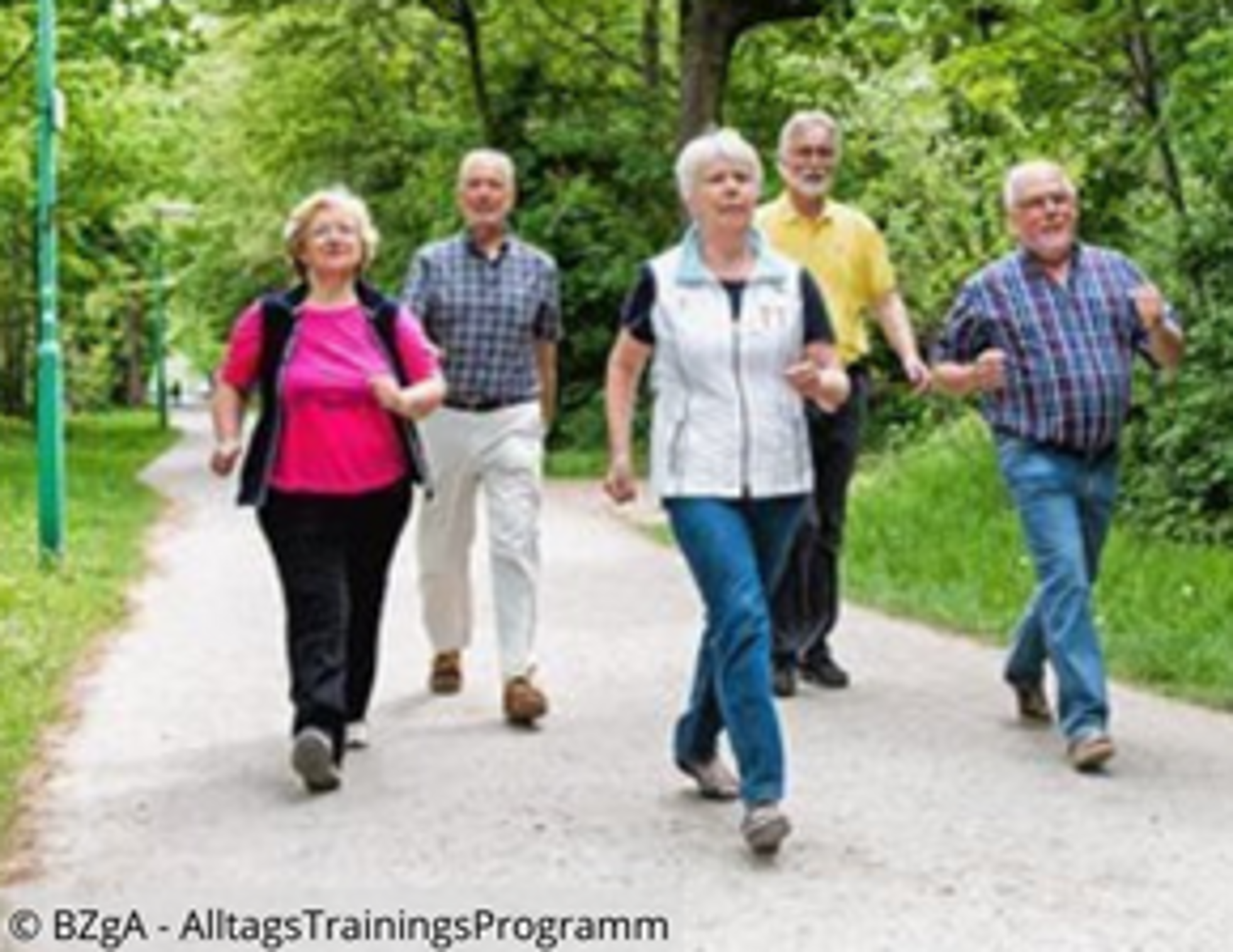 Gruppe von Seniorinnen und Senioren beim Walking