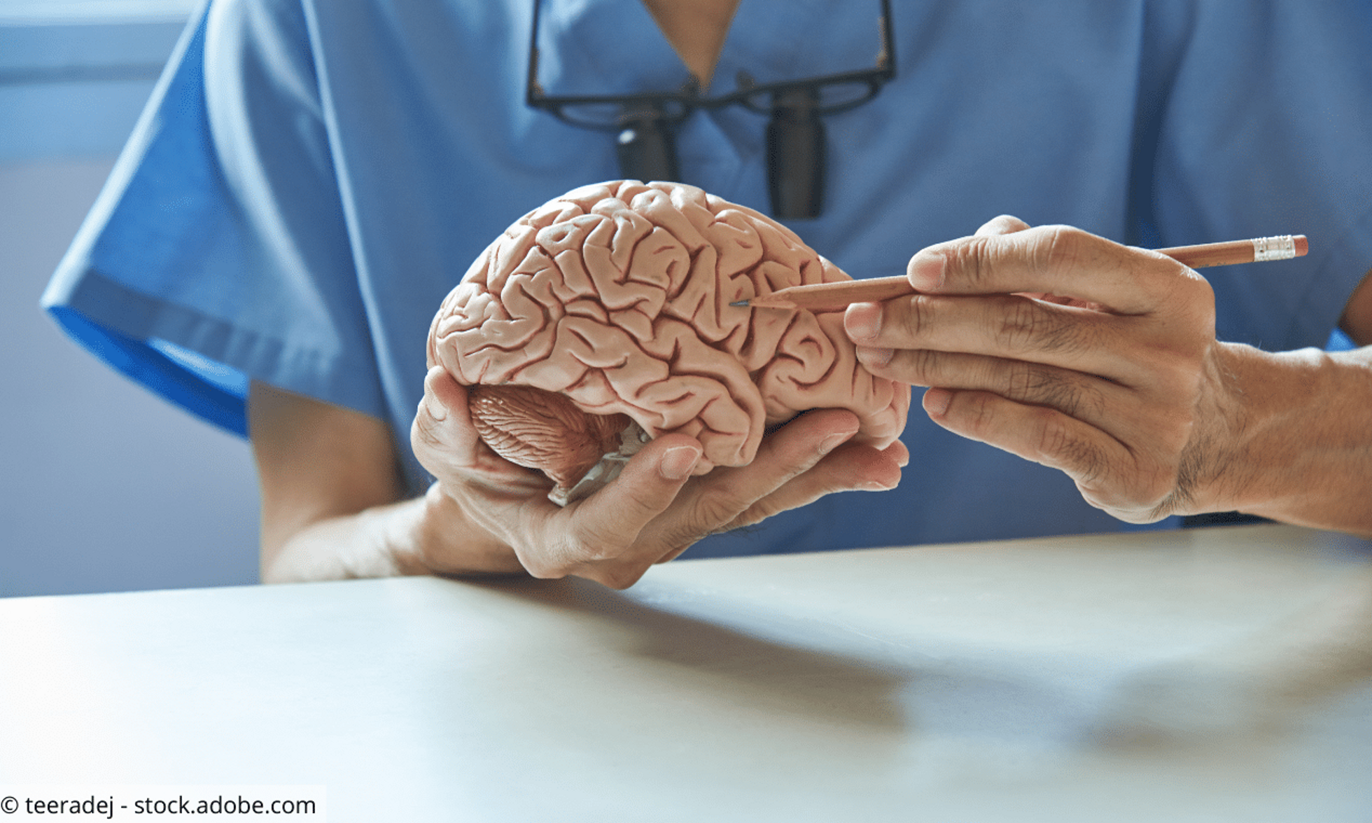 Arzt mit einem Modell des Gehirns