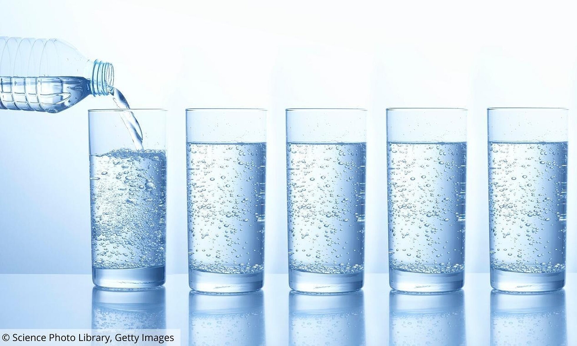 5 Gläser mit Wasser und eine Wasserflasche