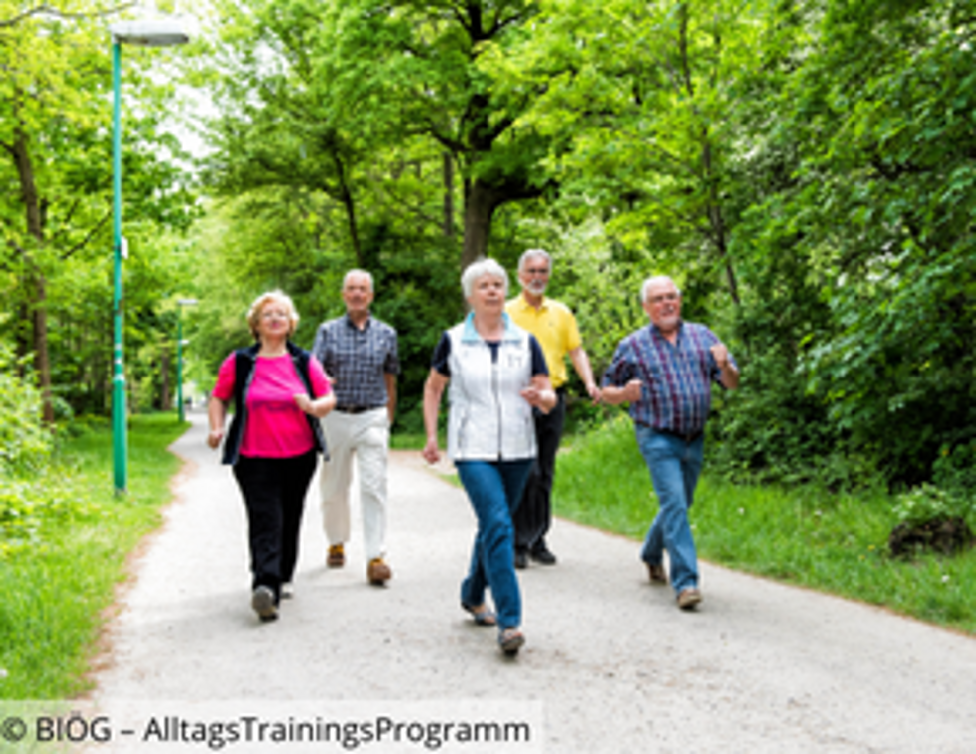 Gruppe von Seniorinnen und Senioren beim Walking