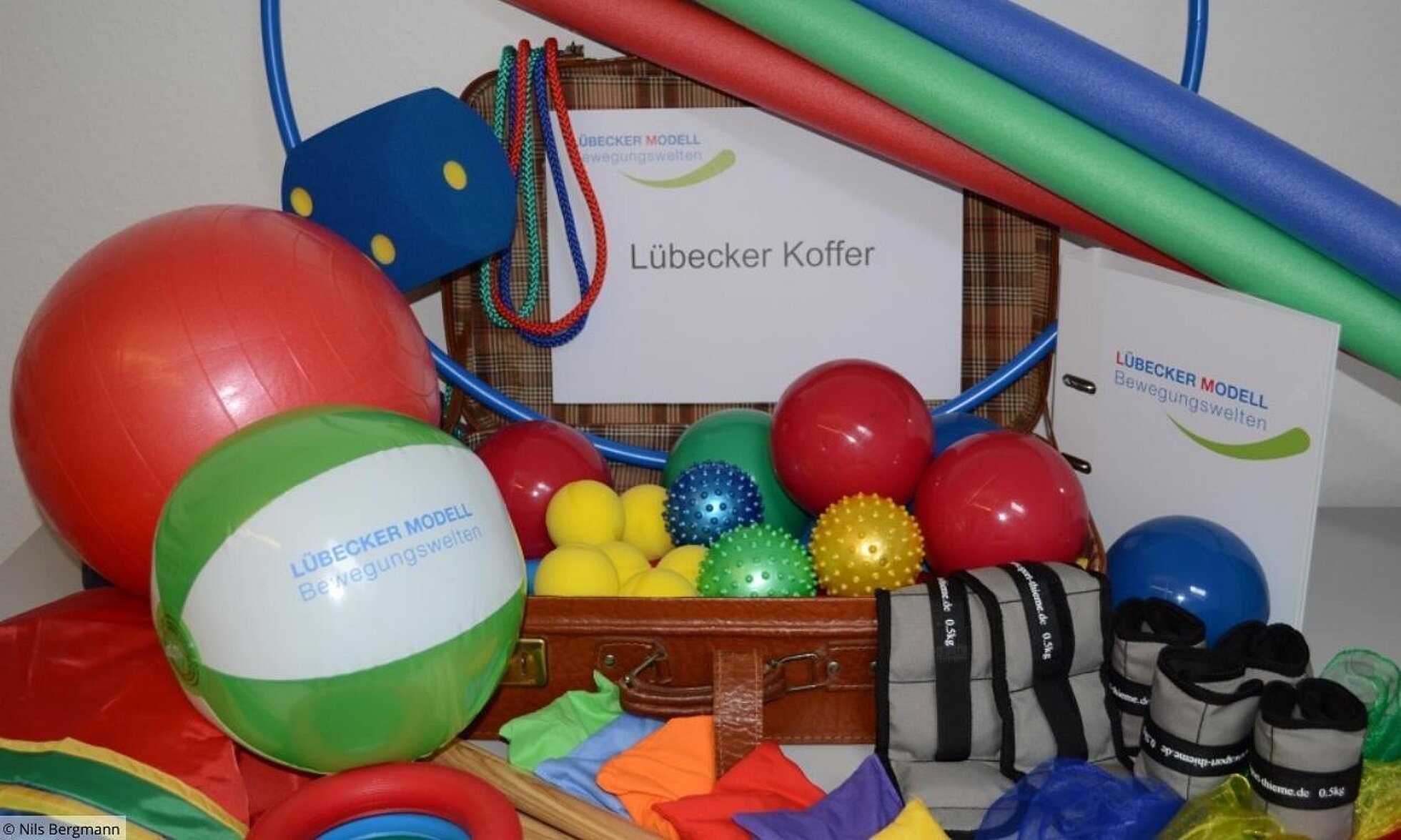 2 ältere Menschen rollen einen Ball in einem Netz