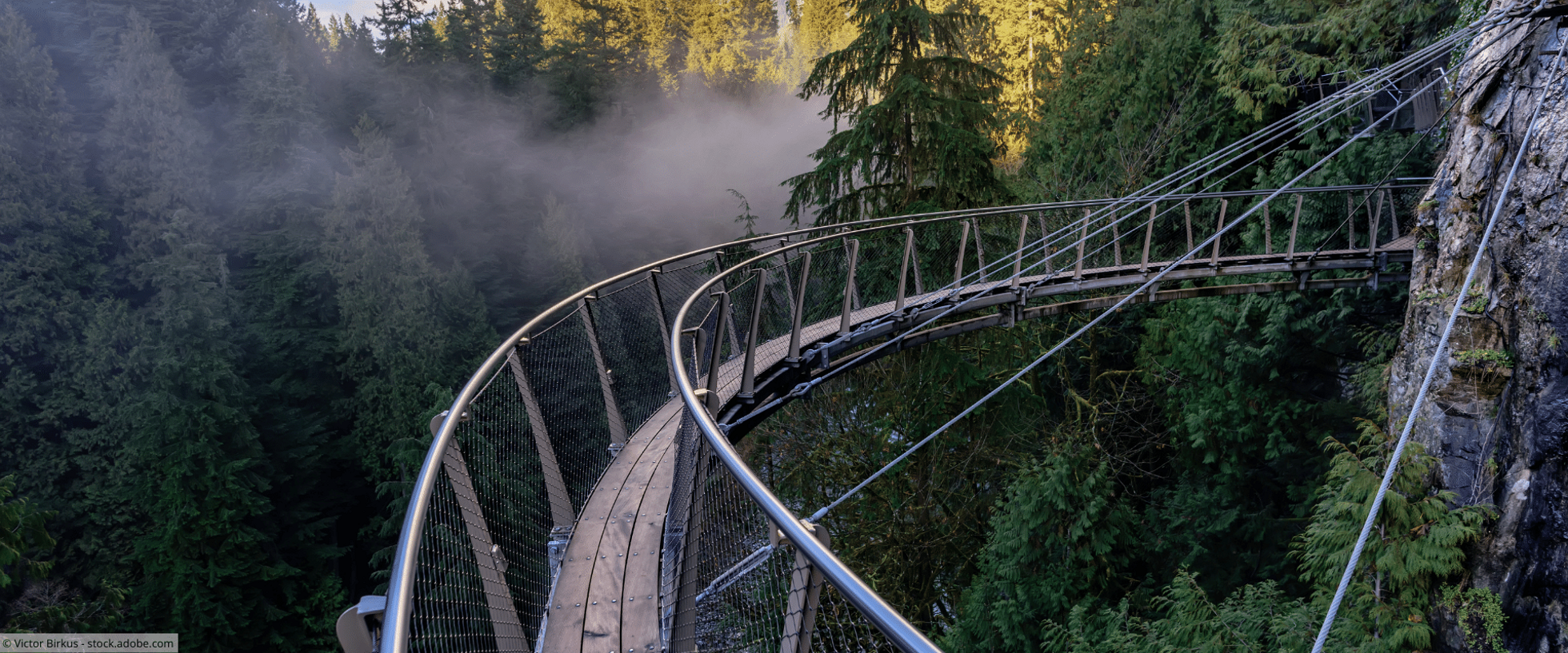 Fußgängerbrücke führt über vernebelten Wald