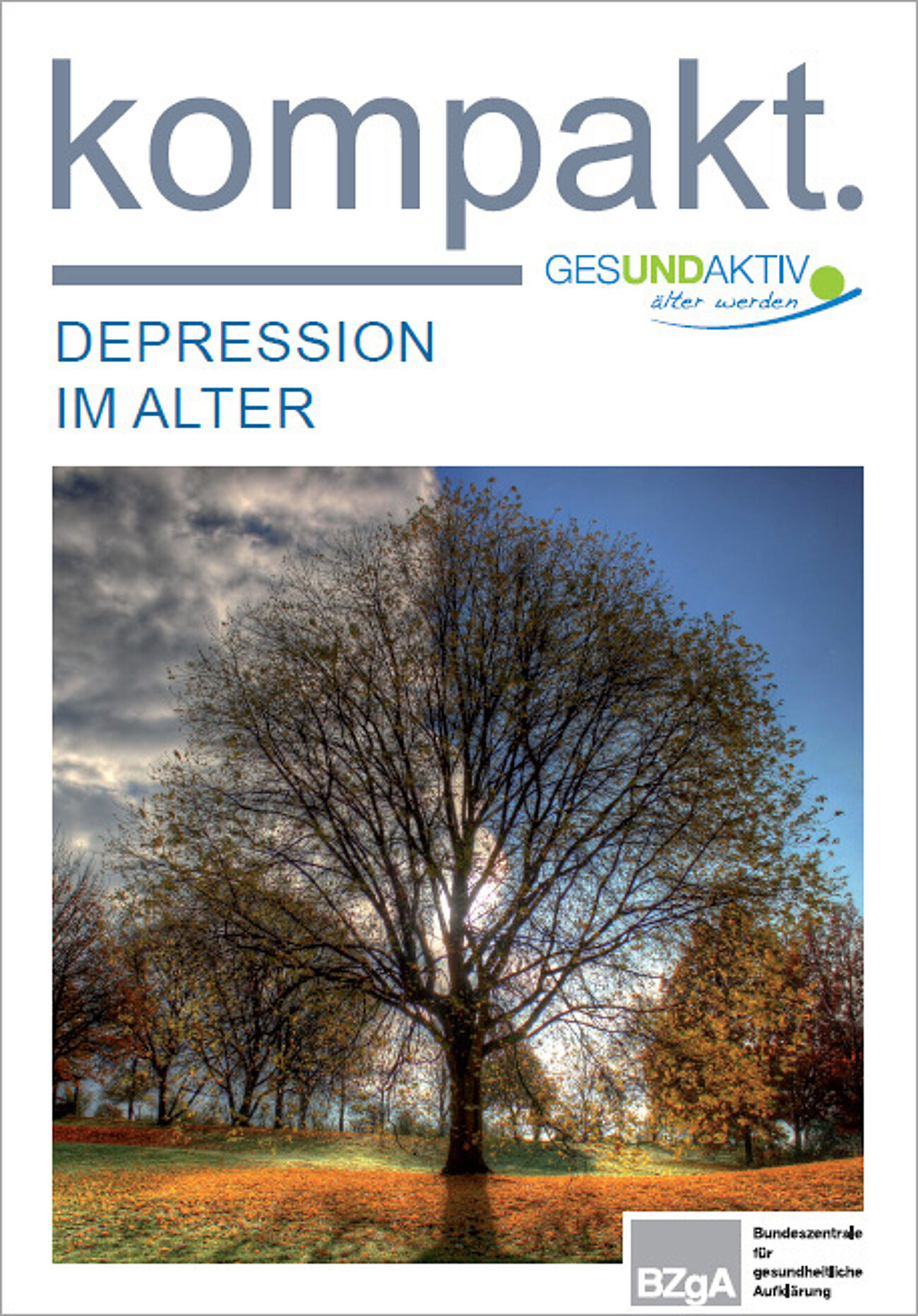 Gesund aktiv älter werden: Wie verläuft eine Depression?