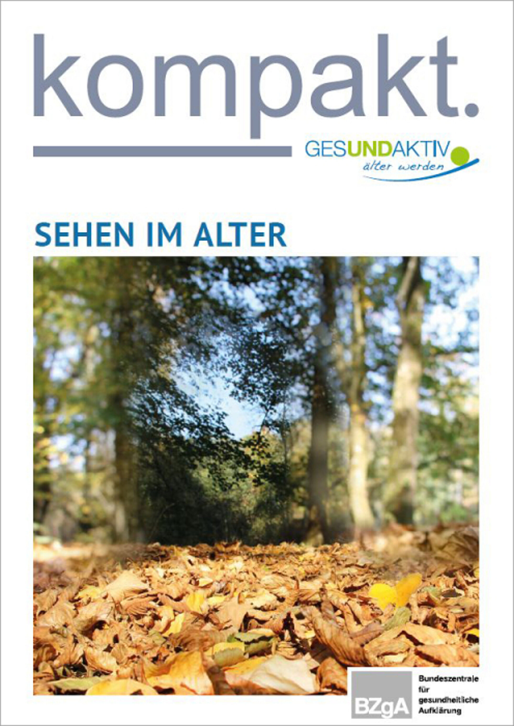 Cover Faltblatt Sehen im Alter