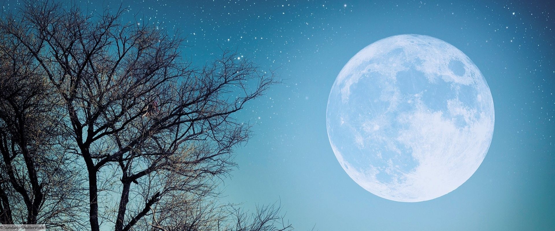 Gesunder Schlaf im Alter Vollmond mit Baum